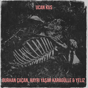 Ucan Kus