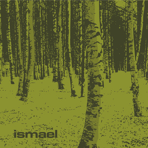 Crostata di mirtilli (2025 Remastered Version)