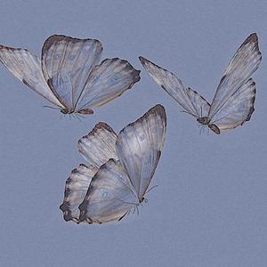 去日香旎（demo)