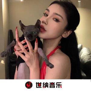 劲爆热舞猪猪侠Dj疯狂版