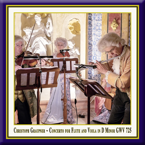 Concerto for Flute & Viola in D Minor, GWV 725: I. Largo (Live)