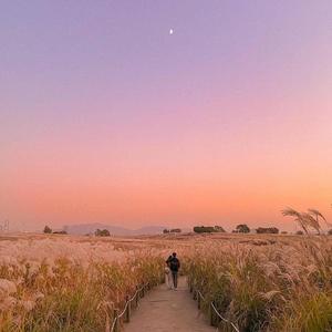 二十岁的某一天