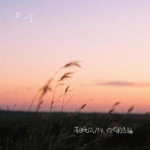 落日晚风尽头 你有的是自由