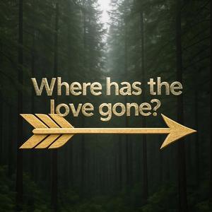 Where has the love gone?