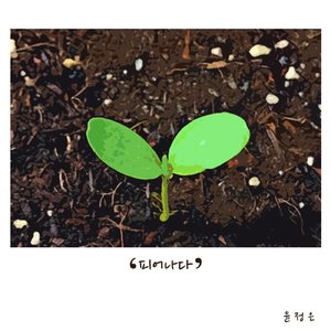 피어나다 Bloom