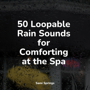 Light Metal-Roof Rain