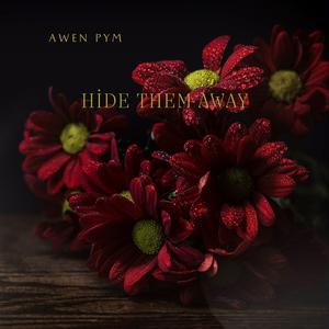 HIDE THEM AWAY