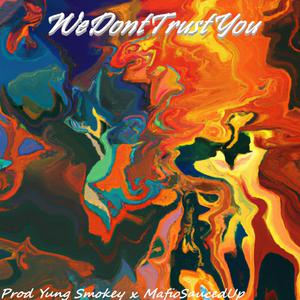 WeDontTrustYou