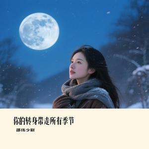 你的转身带走所有季节
