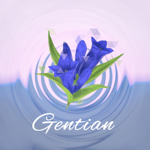Gentian