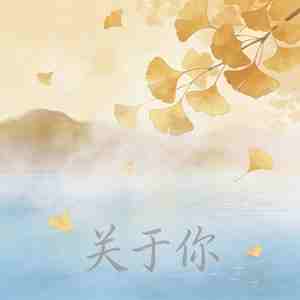 关于你