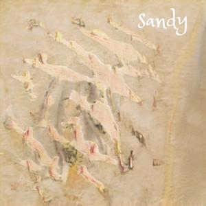Sandy