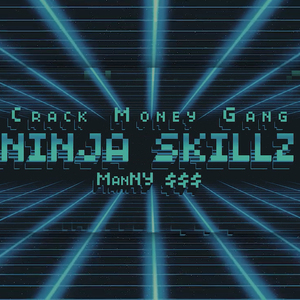 Ninja Skillz