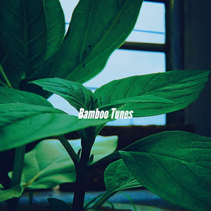 Contemporary Music for Strong Lattes