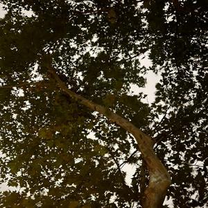 换个方向风景会更好看