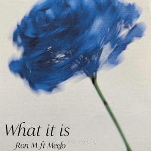 What it is (feat. Meelo)