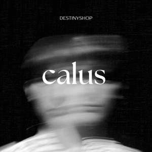 Calus