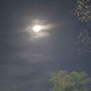 whistle+love the way you lie串烧