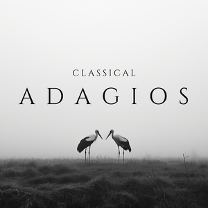 Oboe Concerto in D Minor, S. Z799: II. Adagio