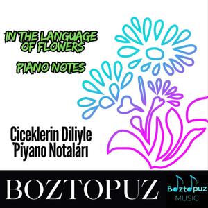 Lale Gölgeleri (Tulip Shadows)