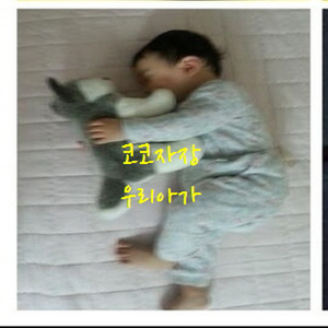 코코자장 우리 아가