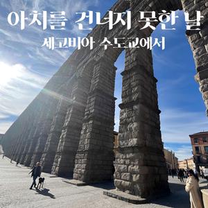 아치를 건너지 못한 날｜세고비아 수도교에서