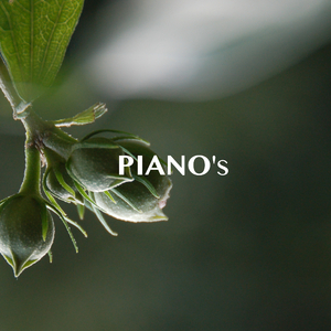 ウィ・アー・ザ・ワールド