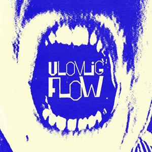 ULOVLIG FLOW