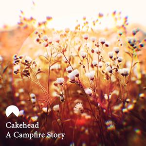 A Campfire Story
