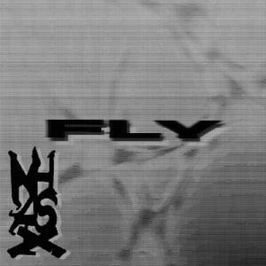 FLY