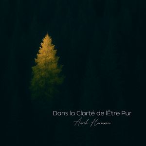 Immobilité Dans le Flux
