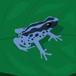 小蝌蚪变青蛙（Prod.by Trai5or&Ice CXLD）