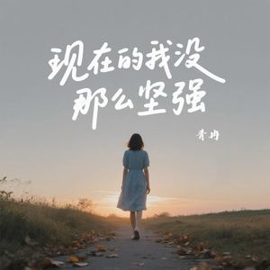 现在的我没那么坚强 (伴奏)