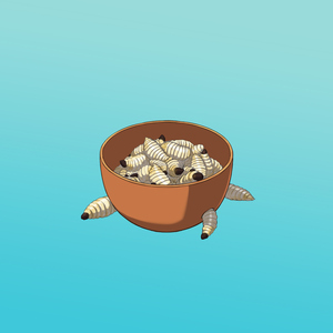 Weird Looking Snacks