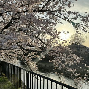 给我一个理由忘记