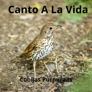 Canto a la Vida