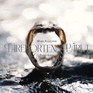 Knipan | Telkkä | Goldeneye