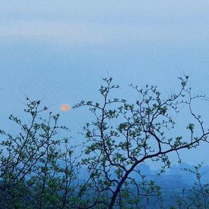 山居秋暝_高甜翻唱（翻自 银临）