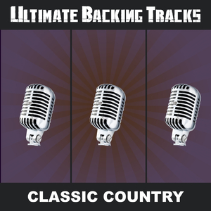 You Never Even Called Be By My Name! (In the Style of David Allen Coe) [Backing Track Version]