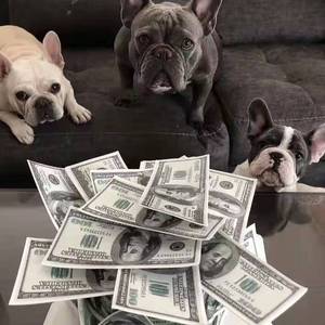 洋葱（翻唱）.m4a(1).mp3(1)