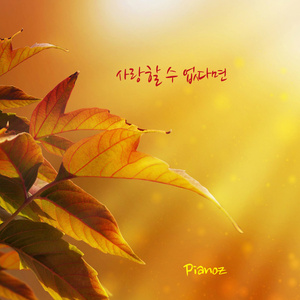 사랑할 수 없다면