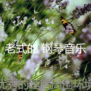 一尘不染读印象数