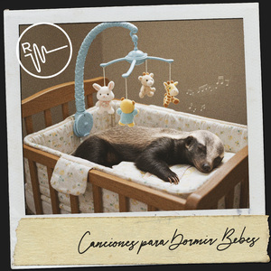 Tranquil Tempos of the Serene Sand Dunes