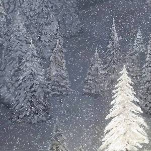 鸽子（Cover 徐秉龙）