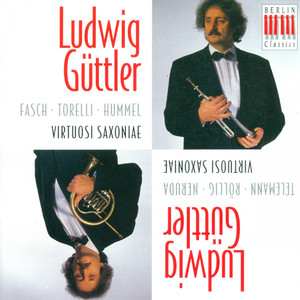 Concerto for Trumpet and 2 Oboes in D Major, FaWV L:D1: II. Largo