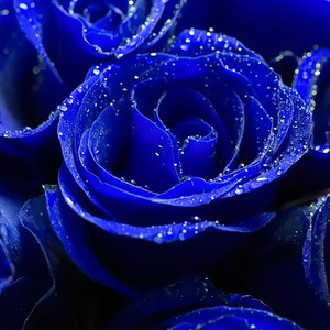 Drill入爱河（Prod by WrBiii）