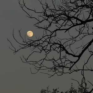 失联 (lost contact)