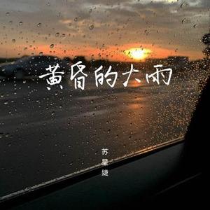 黄昏的大雨 (0.9x)