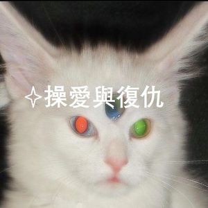 Lana Del Rey-Yes To Heaven（xumaepllee remix）