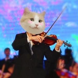 紫罗兰永恒花园op【小提琴】